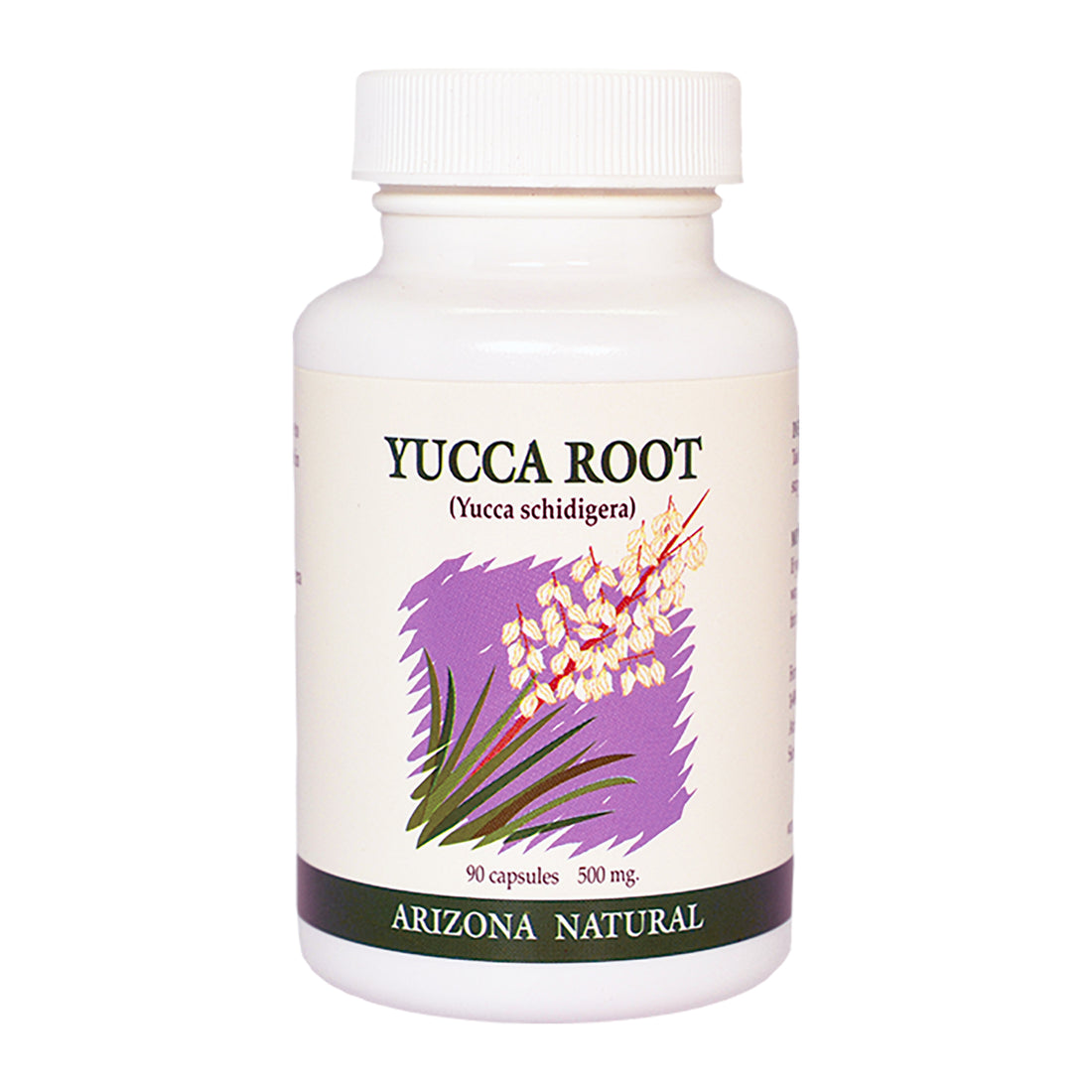 The Health Benefits of Yucca