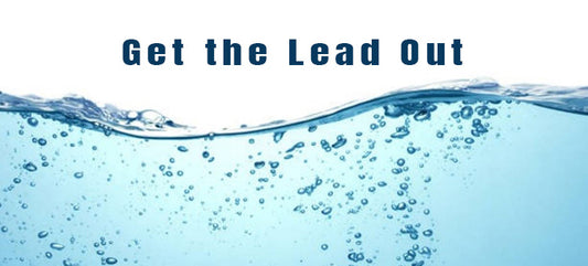 Get the Lead Out of Your Body - Even When it's in Your Water